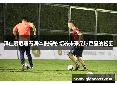 拜仁慕尼黑青训体系揭秘 培养未来足球巨星的秘密