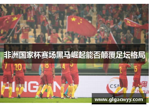 非洲国家杯赛场黑马崛起能否颠覆足坛格局