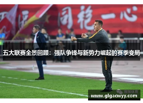 五大联赛全景回顾：强队争锋与新势力崛起的赛季变局