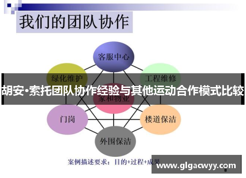 胡安·索托团队协作经验与其他运动合作模式比较
