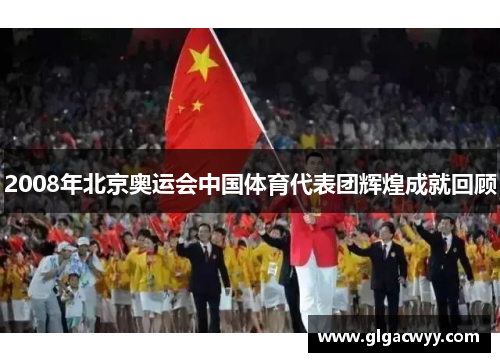 2008年北京奥运会中国体育代表团辉煌成就回顾