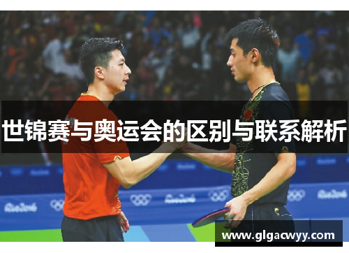 世锦赛与奥运会的区别与联系解析 世锦赛与奥运会的区别与联系解析